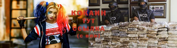 дурь Россошь