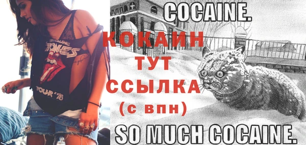 дурь Россошь