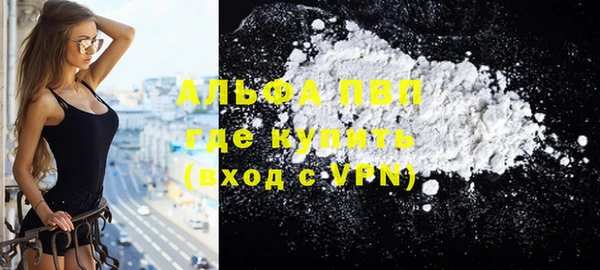 крисы Ростов