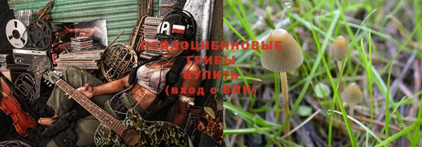 крисы Ростов