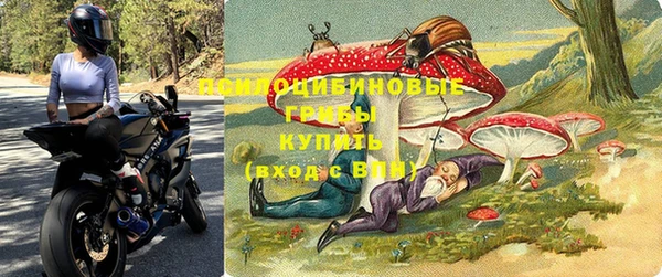 крисы Ростов