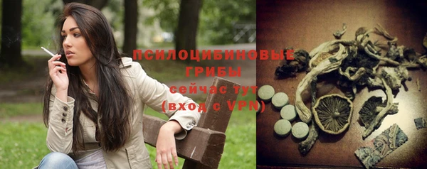 дурь Россошь