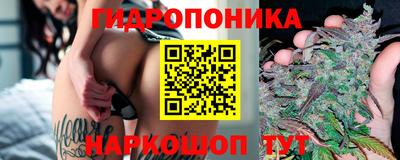 гидропоника Лесосибирск