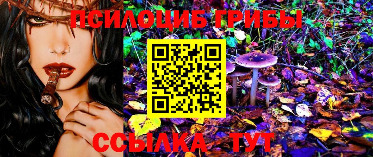 Галлюциногенные грибы Psilocybine cubensis Лабытнанги